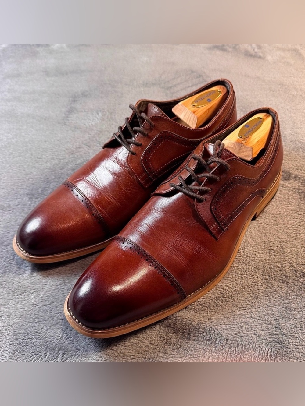 Stacy Adams Dickinson Cap Toe Oxfords in Cognac Brown Leather